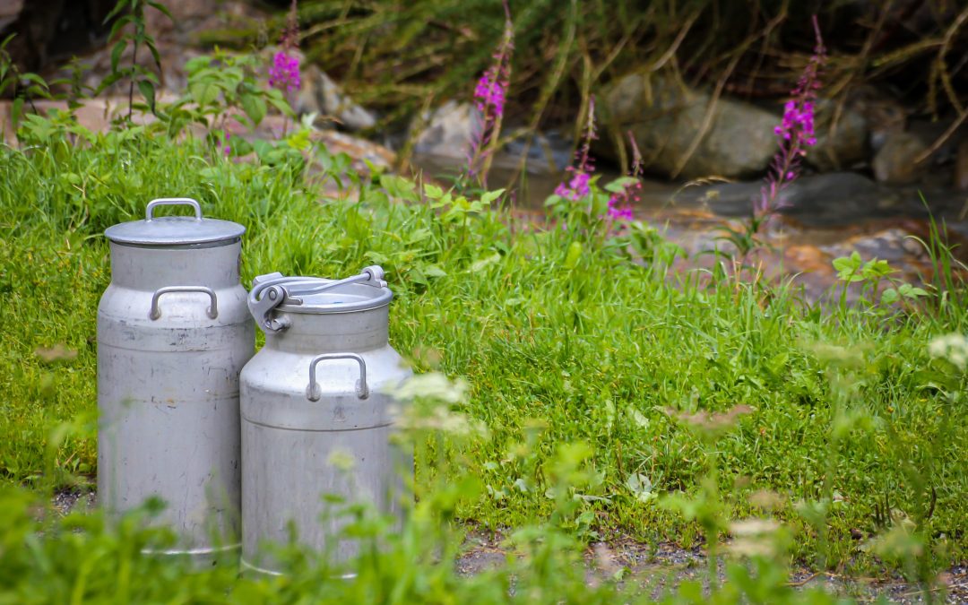 El cártel de la leche: entramado oculto que dominó el mercado lácteo en España del año 2.000 al 2.013